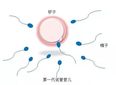 妇科专家